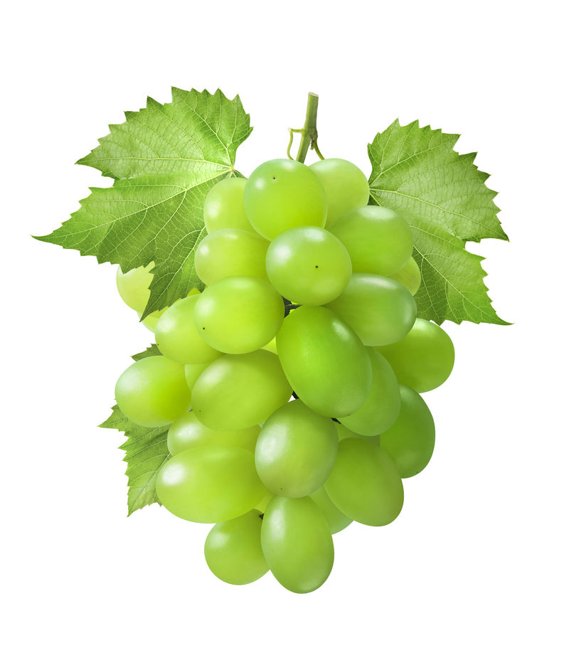 垂直的绿色葡萄，叶在白色背景上分离