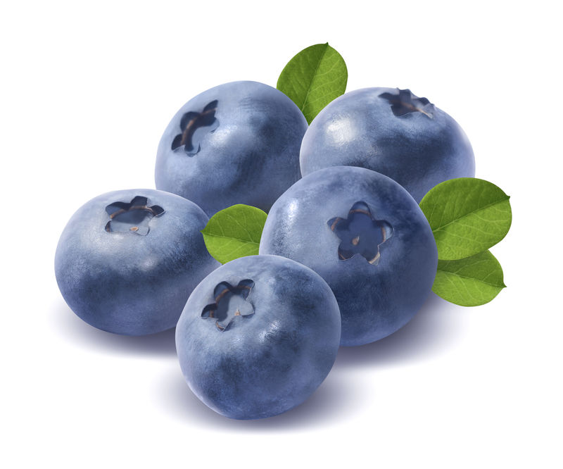 白色背景下分离的五个蓝莓