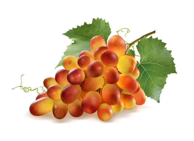 闪亮的红葡萄串和白色的叶子