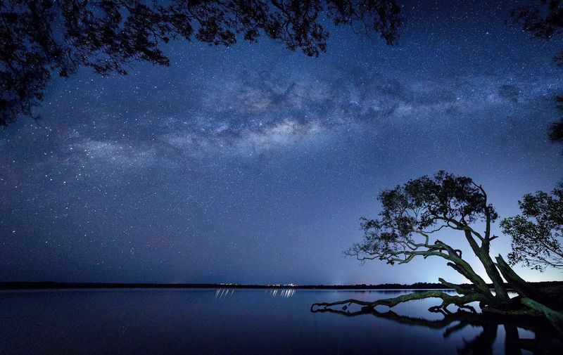 星光闪烁的森林湖畔美丽的夜景