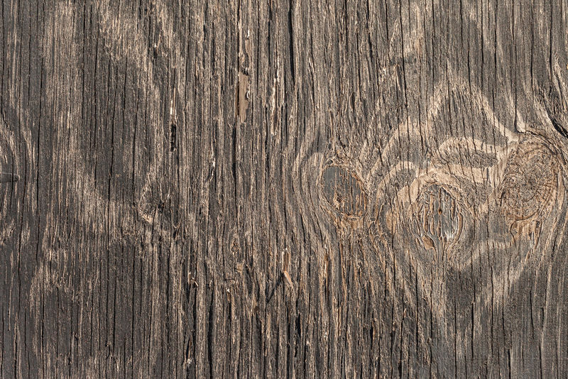 旧木材纹理的背景-软木板-年轮和树枝（结）的切割美丽-自然的图案-夏天-阳光明媚的日子