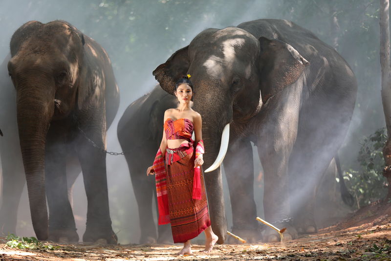 美丽的亚洲女人穿着泰国裙和她的大象elepha