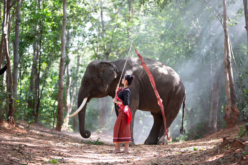 泰国的象和女人