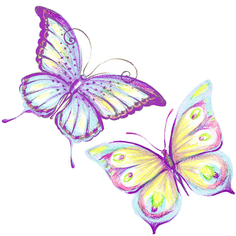 蝴蝶，水彩画，白色孤立