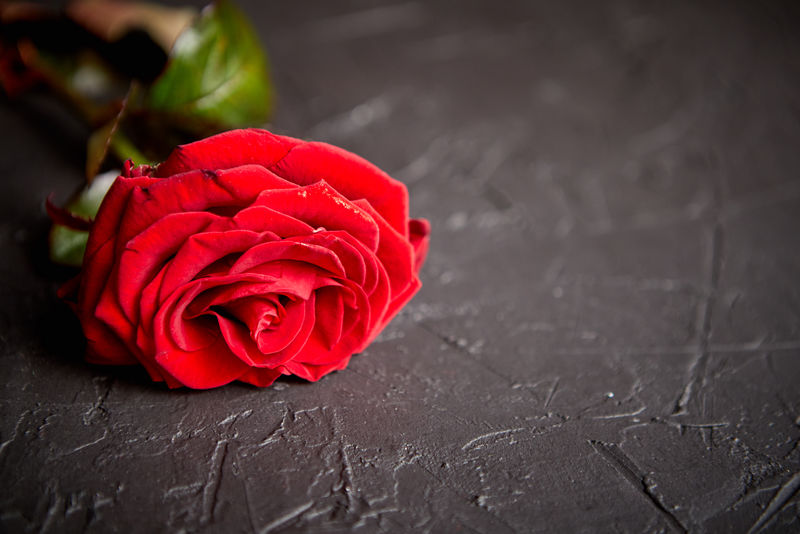 白色木桌上的鲜红色玫瑰花