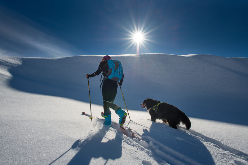 女孩和他的狗一起滑雪登山