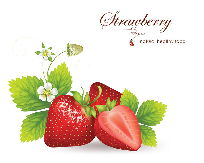 草莓-真实感的矢量图示