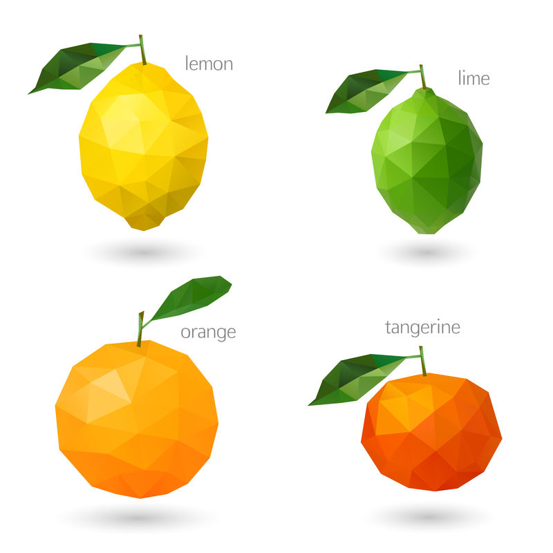 多角形水果-柑橘。矢量图示