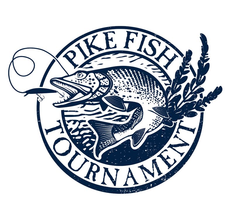老式鳟鱼钓鱼标志，标签和设计元素