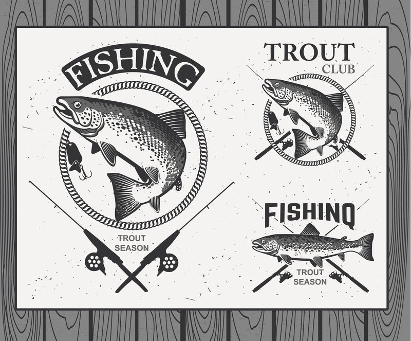 老式鳟鱼钓鱼标志，标签和设计元素