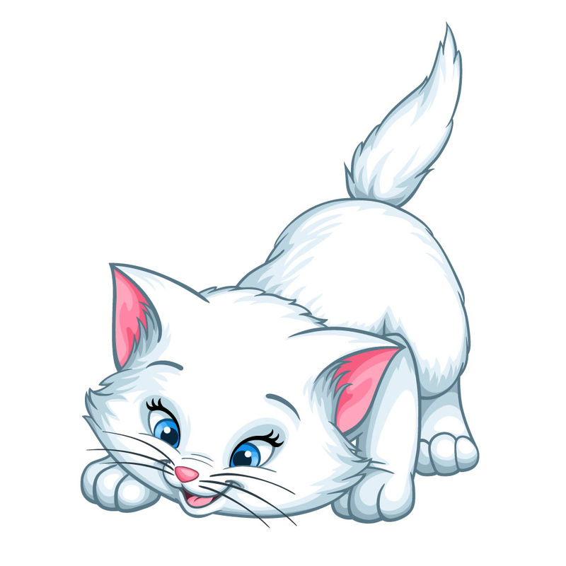 白色猫咪动画片图片