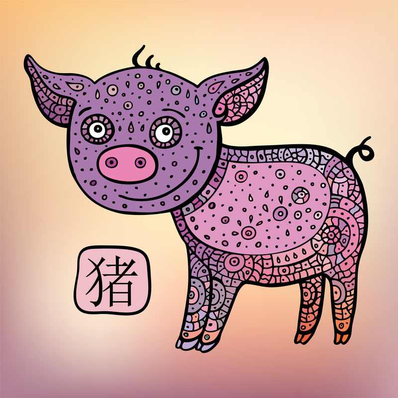 中国十二生肖。动物占星学标志。猪。