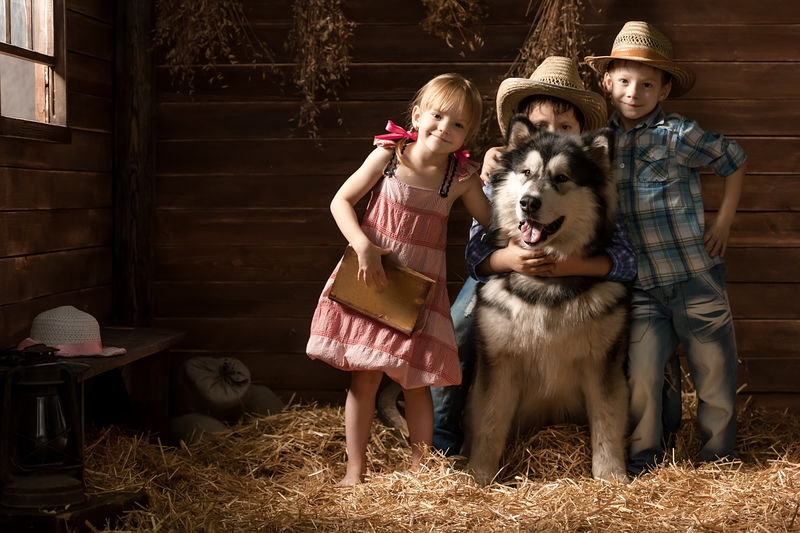 三个小孩在谷仓里用稻草牵着一条狗