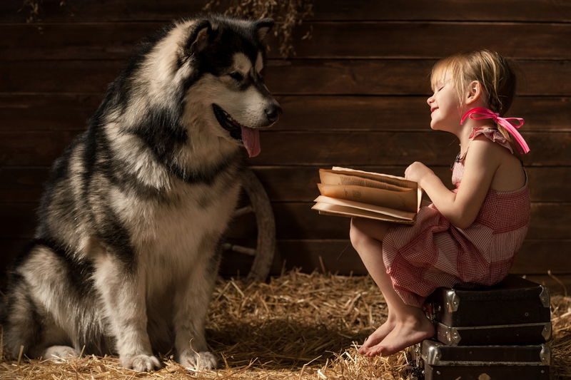 小女孩在谷仓里给他的狗看书
