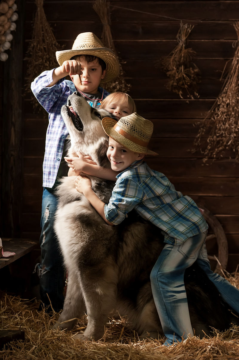 三个小孩在谷仓里用稻草牵着一条狗