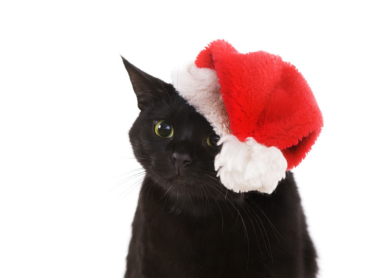 黑猫圣诞老人-可爱的圣诞猫，圣诞宠物与圣诞老人C
