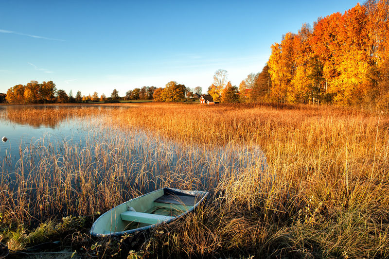 灿烂的秋天的早晨，在Ostergotland，瑞典。