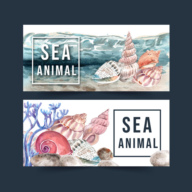 贝类概念水彩画横幅设计