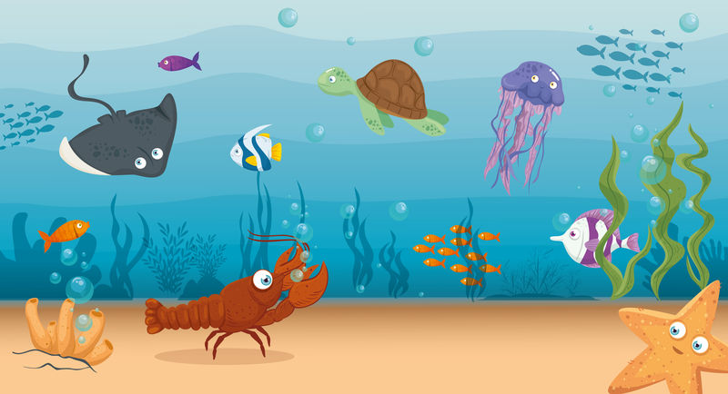 海洋中有鱼和野生海洋动物的龙虾，海洋世界的居民，可爱的水下生物，栖息地海洋概念
