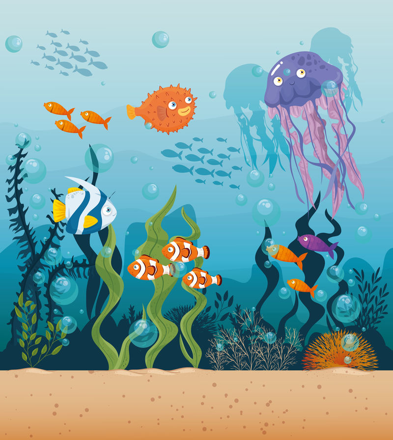 水母与鱼海洋中的野生海洋动物，海洋世界的居民，可爱的水下生物，栖息地海洋概念