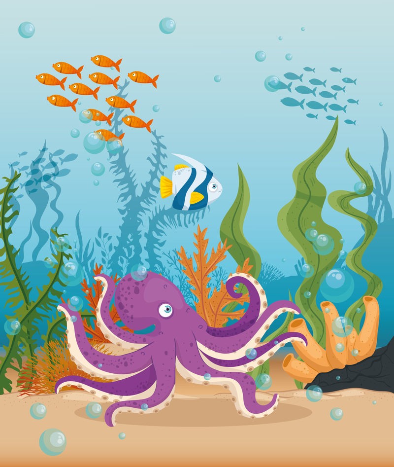 海洋鱼类章鱼海洋动物，海洋世界居民，可爱的水下生物，栖息地海洋概念