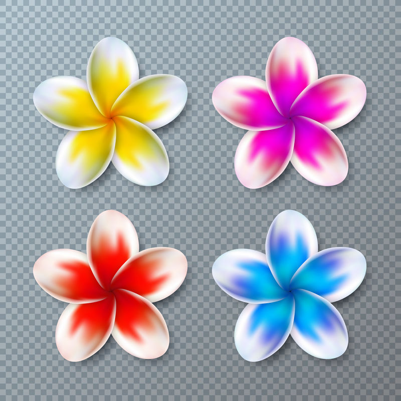 矢量插图与彩色鸡蛋花收集孤立在透明背景。矢量假日设计元素元素与夏威夷热带花卉集旗帜，传单，邀请，宣传册，党海报或贺卡。