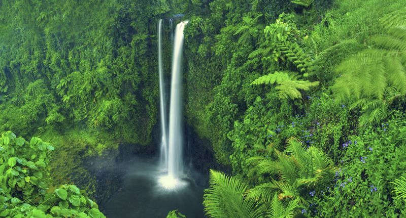 瀑布自然景观瀑布森林概念