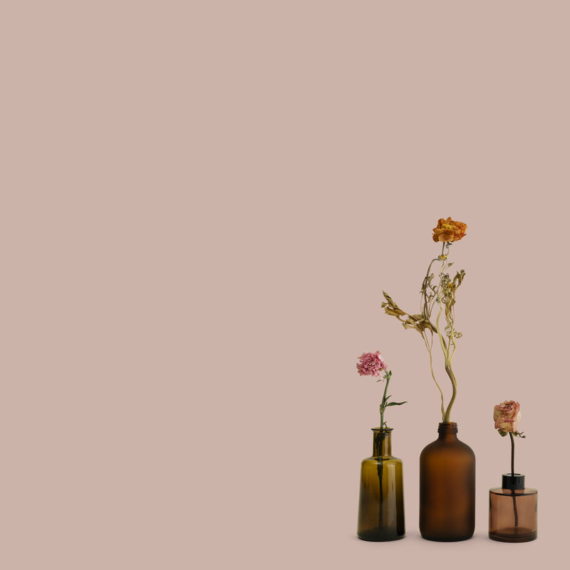 粉红色背景的棕色玻璃花瓶中的干花