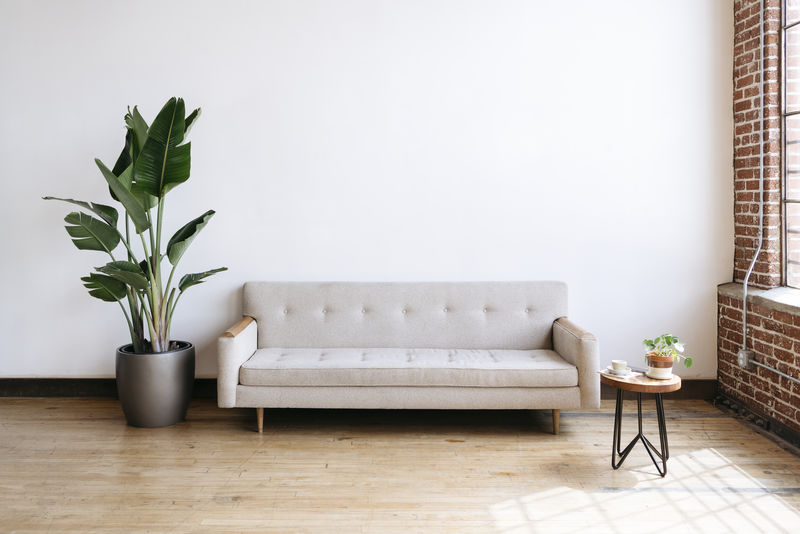 现代米色织物沙发和客厅植物