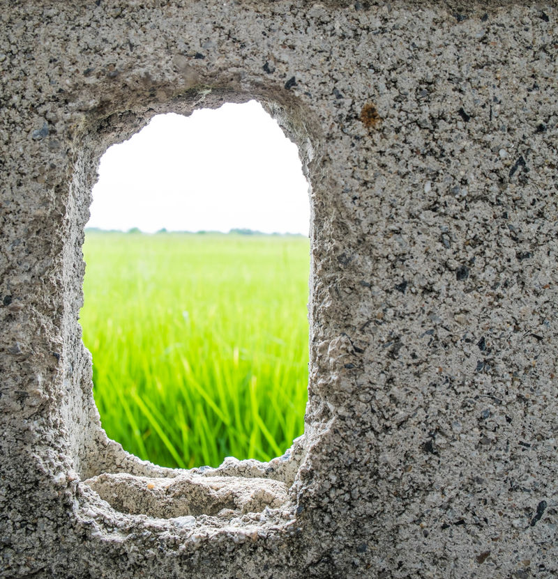 水泥墙上的裂缝洞看到绿色的稻田