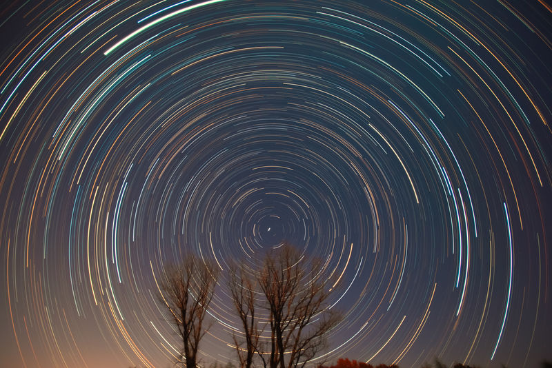 北极星和星星在树上的踪迹