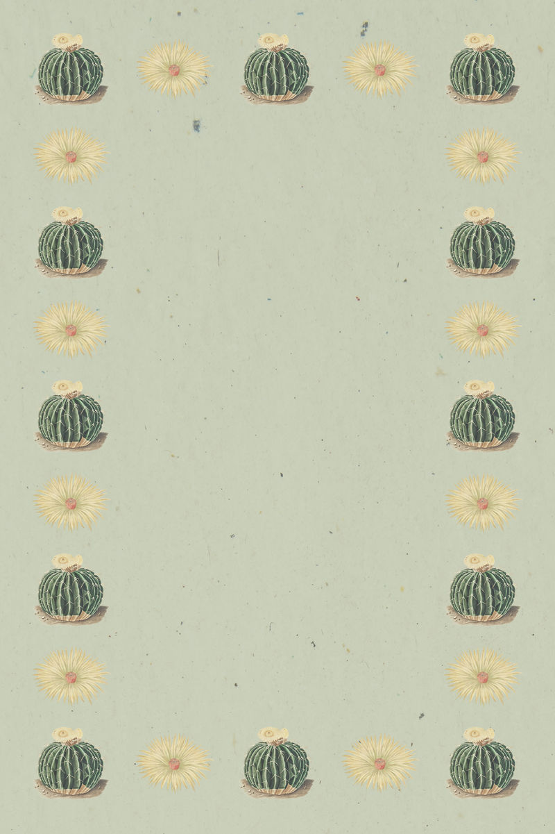 复古绿仙人掌和花卉边框上的纹理纸设计元素