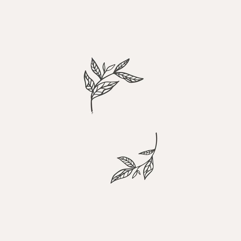 椭圆植物边框元素向量
