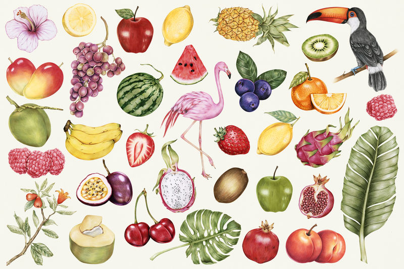 手绘热带水果图案背景插图