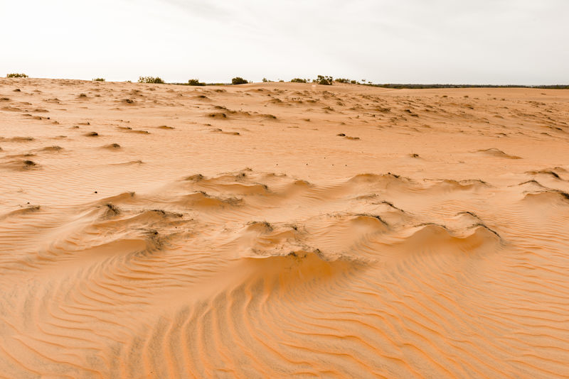 Sahara沙漠