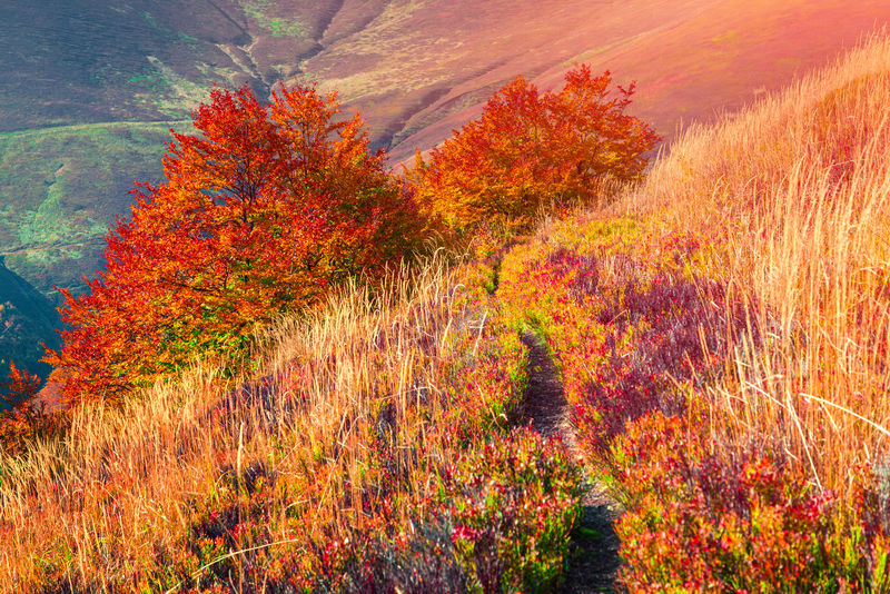 五彩缤纷的秋日日出在山林中