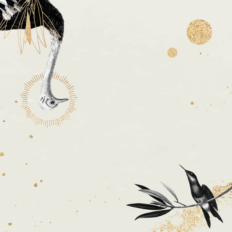 鸵鸟和蜂鸟在米色背景向量上的图案