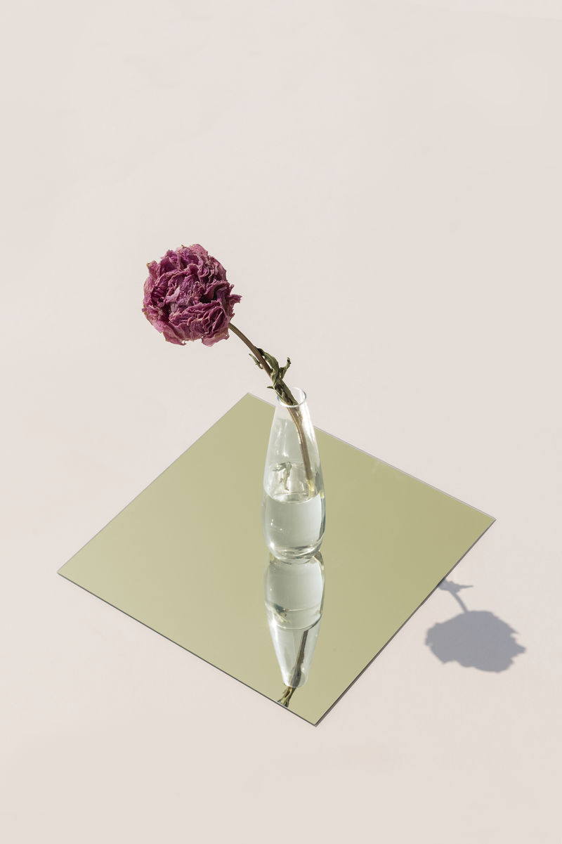 透明花瓶里的粉红色牡丹干花