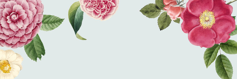 粉色春花装饰横幅设计元素