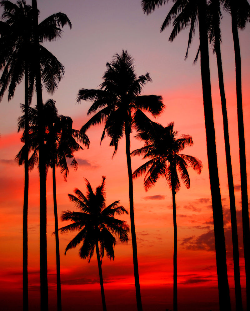 热带岛屿上的日落