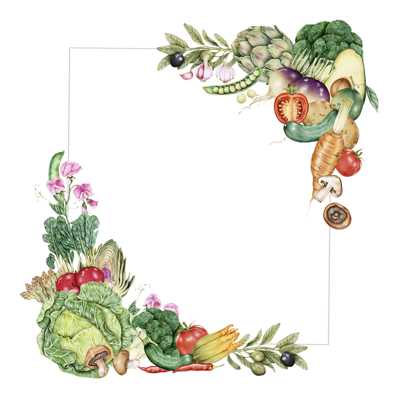 圆形蔬菜插画框png手绘