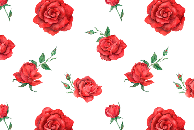 盛开的红玫瑰图案png透明背景
