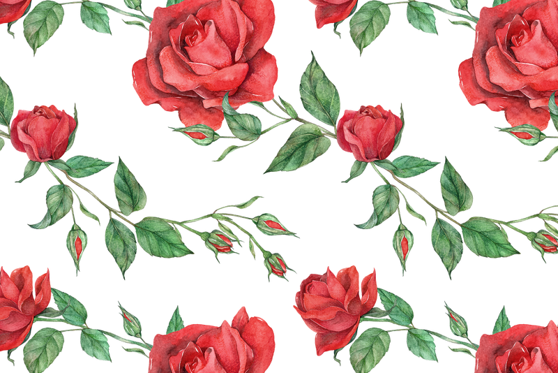红玫瑰图案png透明背景