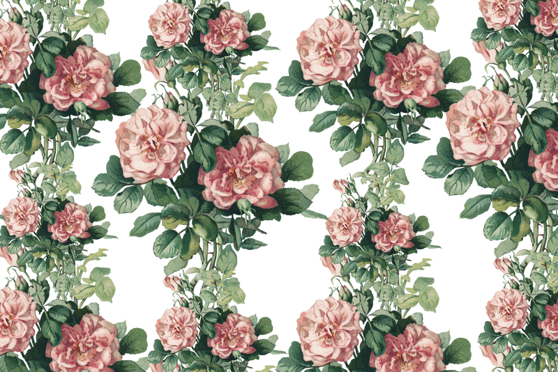 复古粉红玫瑰png花卉图案插画由L