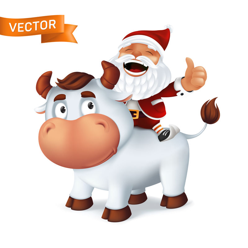 有趣的银牛动物象征的一年在中国十二生肖日历和圣诞老人在他的背上。白色背景下的微笑公牛和大笑人物的卡通矢量插图