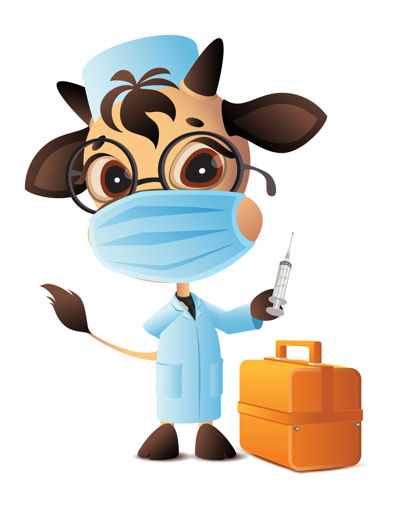 牛医生兽医注射器接种冠状病毒covid-19。穿着长袍和面具的医生