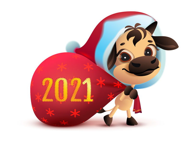 2021年是白牛年。有趣的圣诞老人戈比拎着一袋礼物