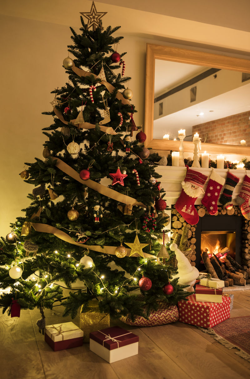 房子里装饰过的圣诞树
