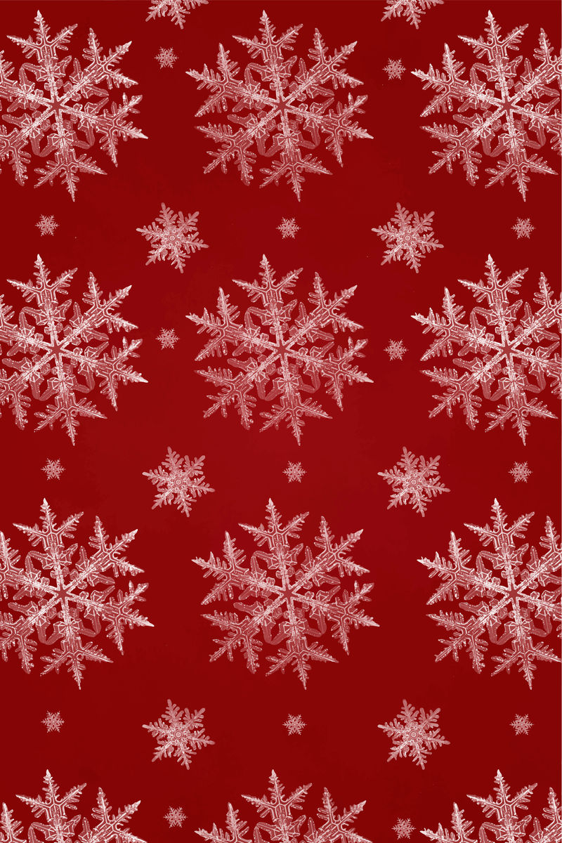 红色圣诞雪花图案背景向量威尔森·本特利摄影混音