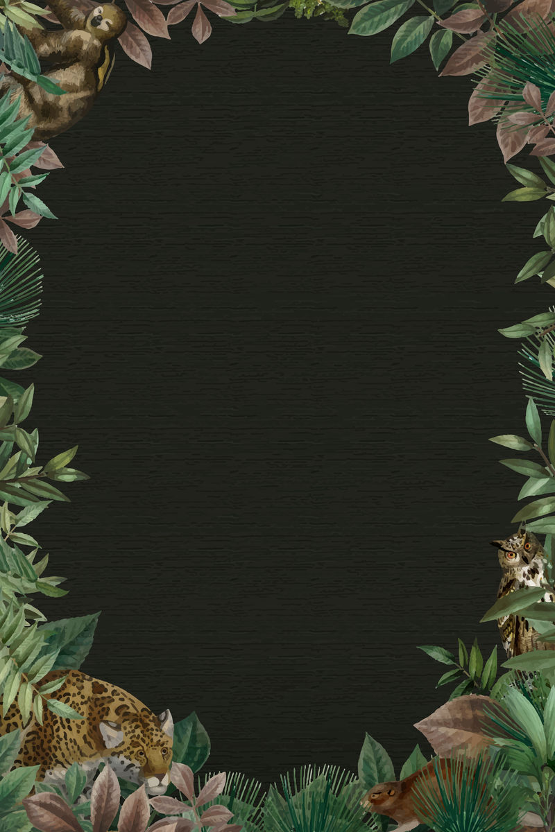 丛林椭圆框矢量设计空间黑色背景